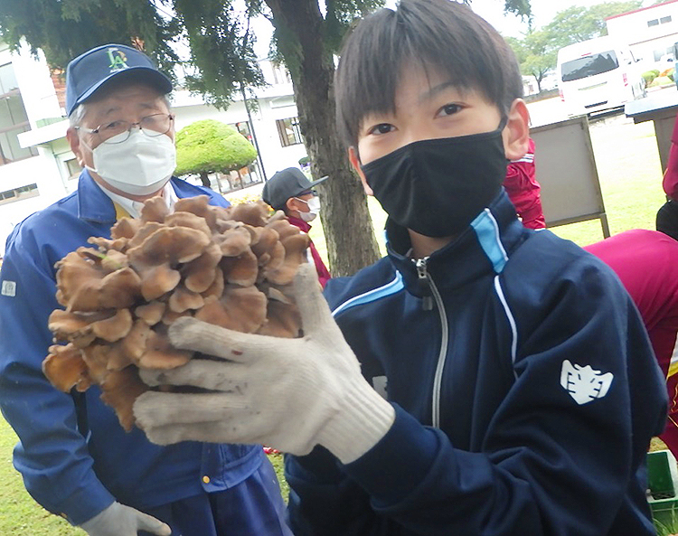 山瀬小学校　マイタケ収穫