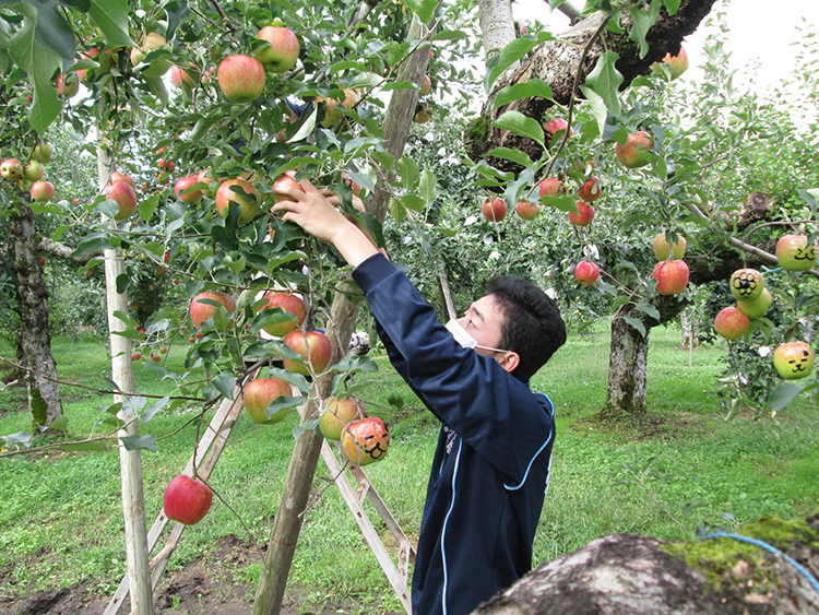 南中学校　百花繚乱作戦